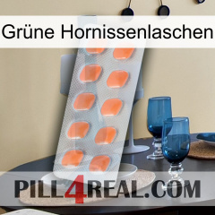 Grüne Hornissenlaschen 26